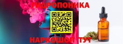гашик Усть-Илимск