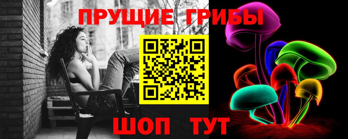 Нижний Новгород  Галлюциногенные грибы Psilocybine cubensis  Вход с VPN 