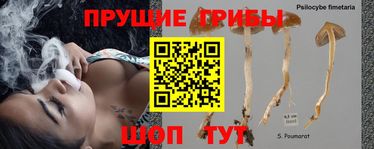 Галлюциногенные грибы прущие грибы Нижний Новгород